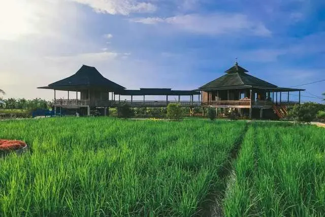 Daya Tarik Kampung Wiralaga