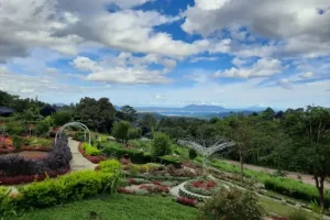 Fasilitas Taman Betung