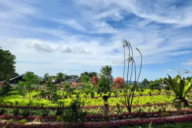 Kegiatan Taman Betung