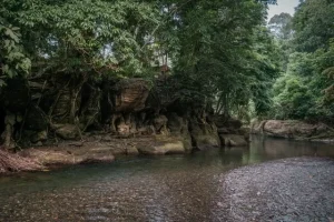 Pesona Landak River di Langkat, Wisata Alam di Tengah Hutan Tropis