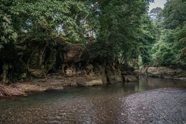 Pesona Landak River di Langkat, Wisata Alam di Tengah Hutan Tropis