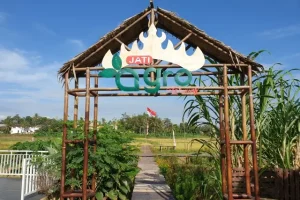 Alamat Jati Agro Farming