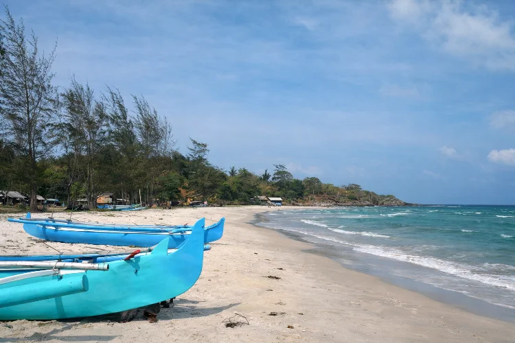 Aktivitas Seru yang Bisa Dilakukan