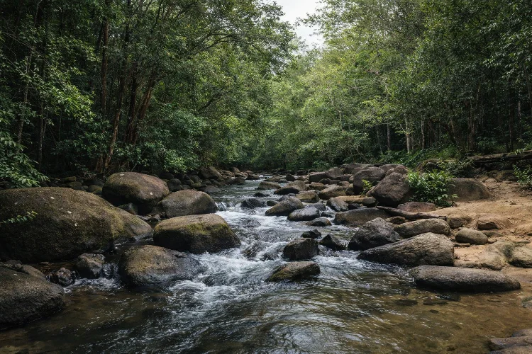 Daya Tarik Wisata Alam Batu Mentas
