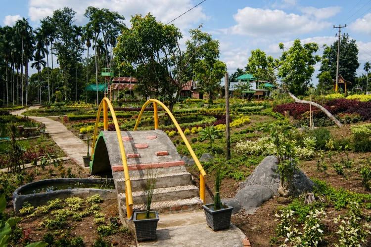 Pesona Taman Bunga Talang Bukit