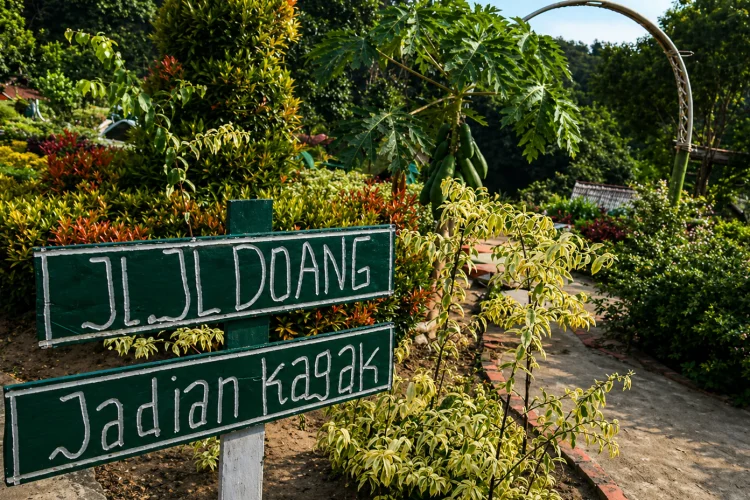 Suasana Taman Bunga Talang Bukit