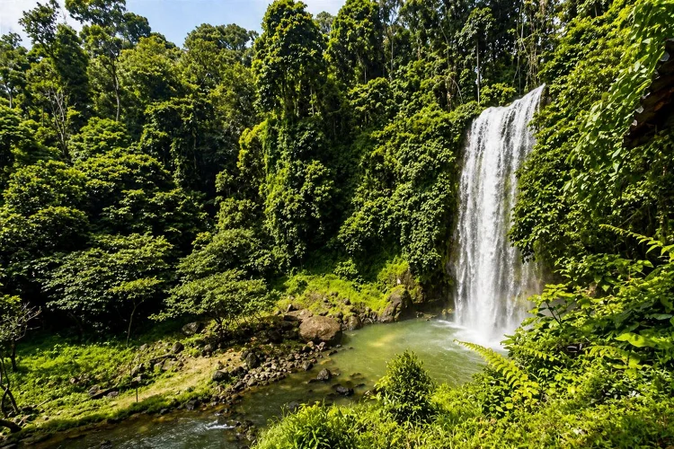 Pesona Air Terjun Renah Sungai Besar