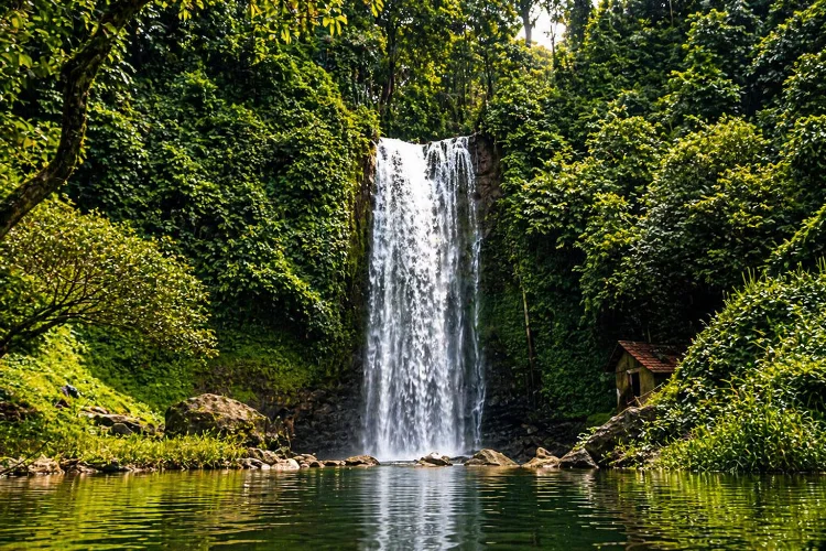 Suasana Air Terjun Renah Sungai Besar